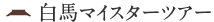 ���n�}�C�X�^�[�c�A�[