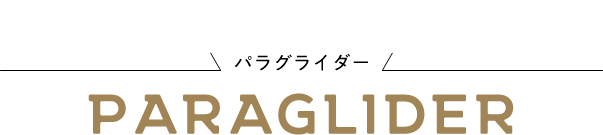 paraglider