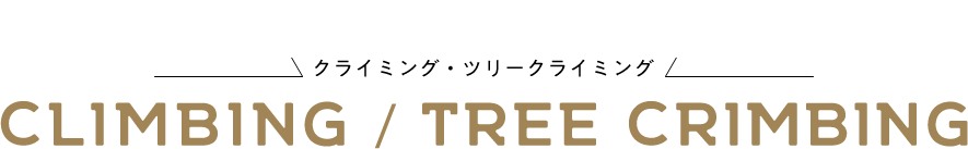 climbing