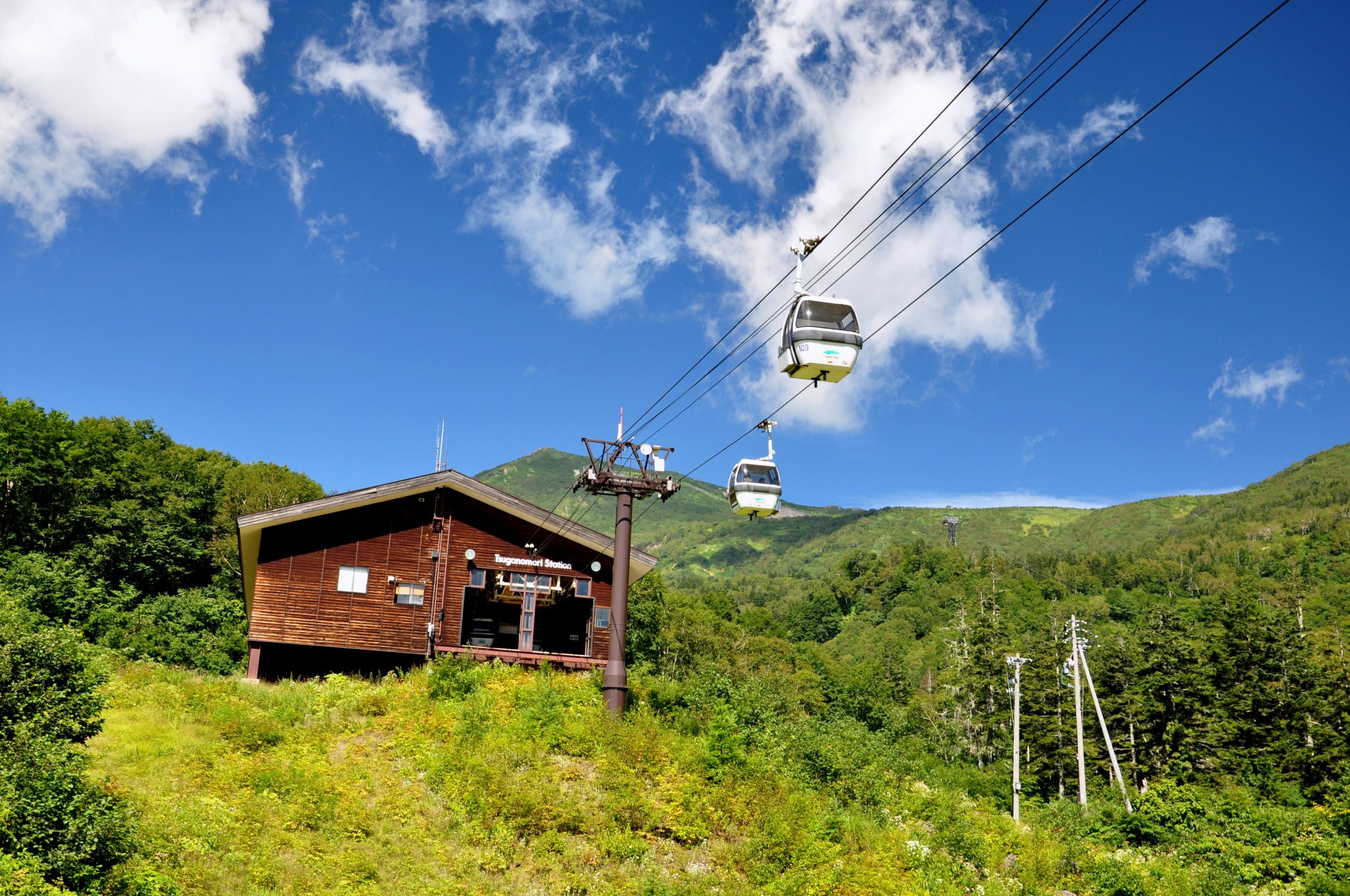 栂池高原（白馬岳登山口）