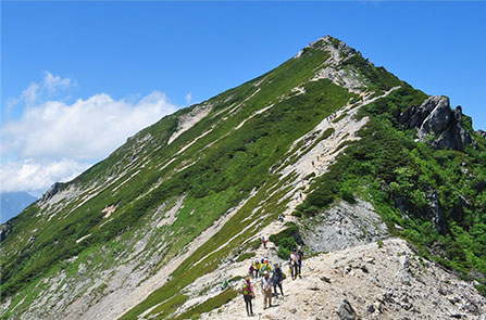 登山・トレッキングトップ