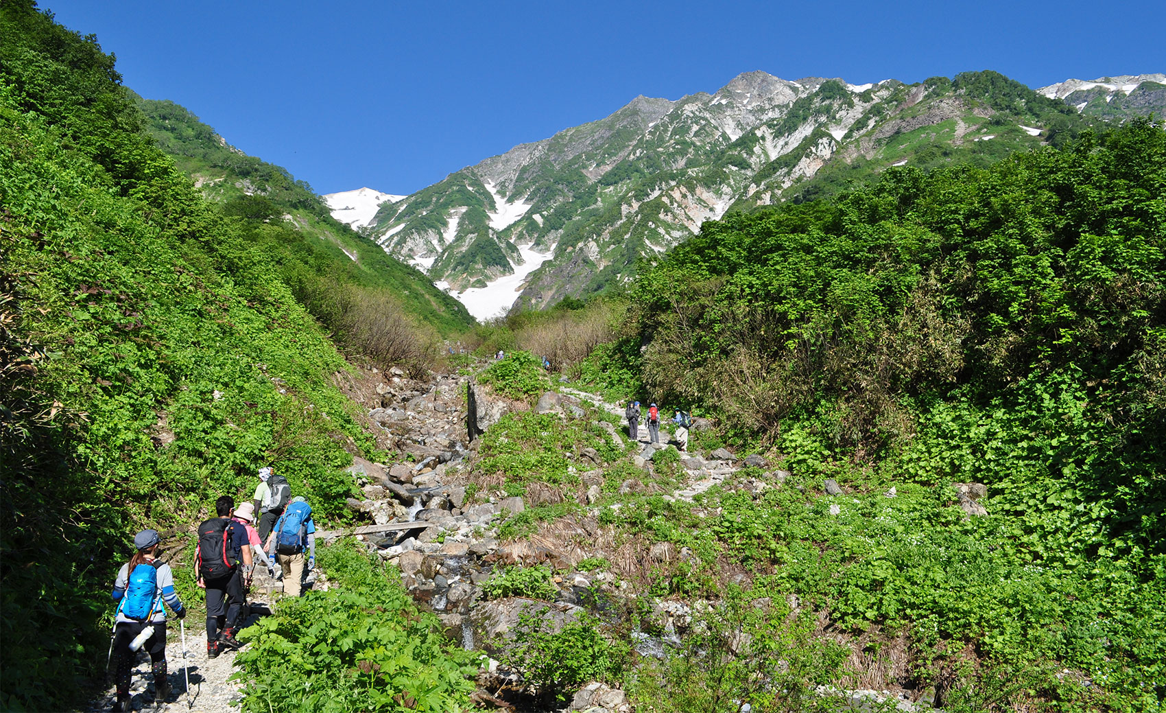 山の紹介