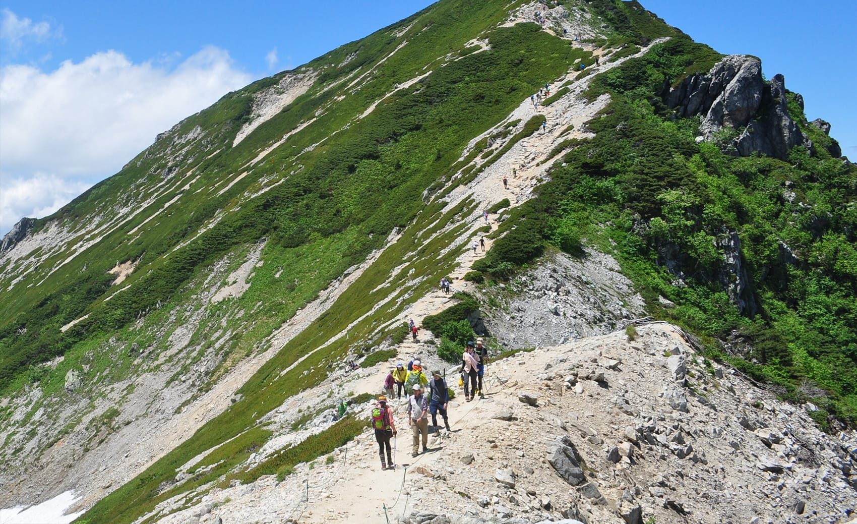 登山・トレッキングトップ