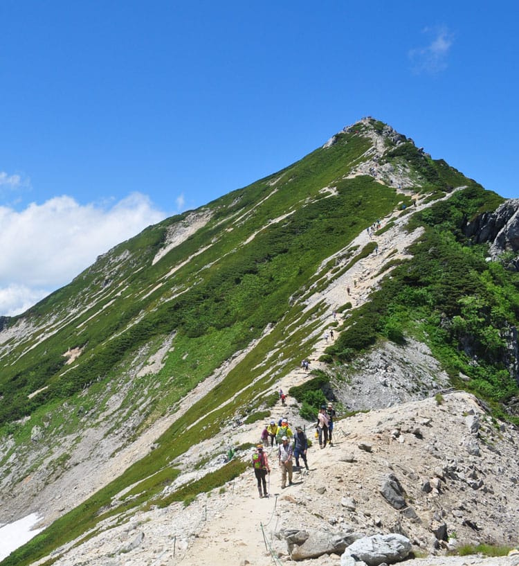 登山・トレッキングトップ