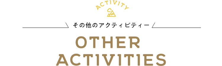 OTHER ACTIVITIES