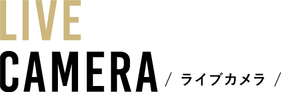 Hakuba47マウンテンスポーツパーク ライブカメラ 白馬村公式観光サイト