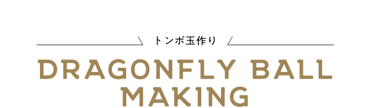 dragonfly-ball-making