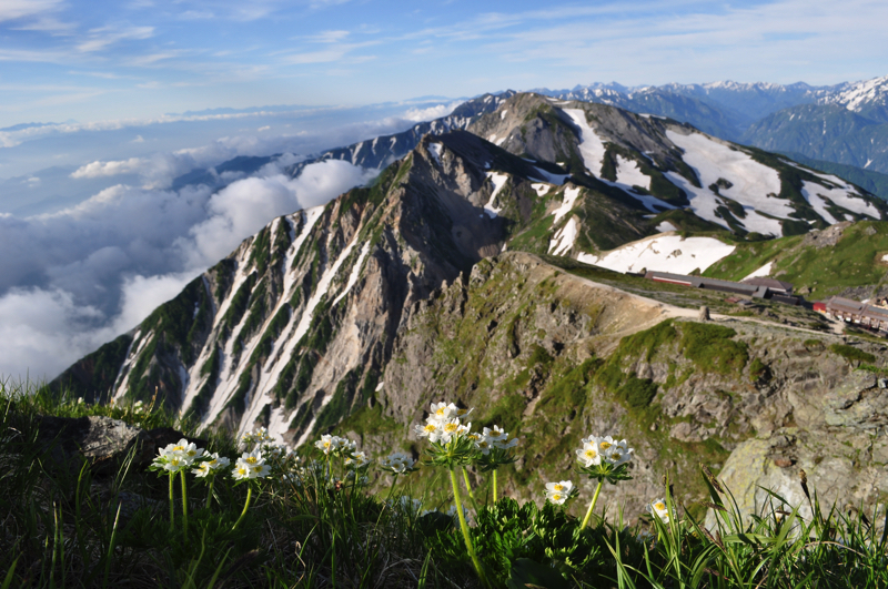 Hakuba snow valley〜Mt.Shirouma〜Tsugaike（2days）