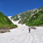 ニューリリース