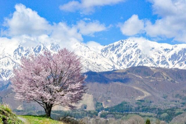 2a1a2700acd99a6b56a59cfe6596448d-1024x680-1-640x425 WEAR・CLIMATE |  Cycle wear in Hakuba Ride and the climate of Hakuba Village