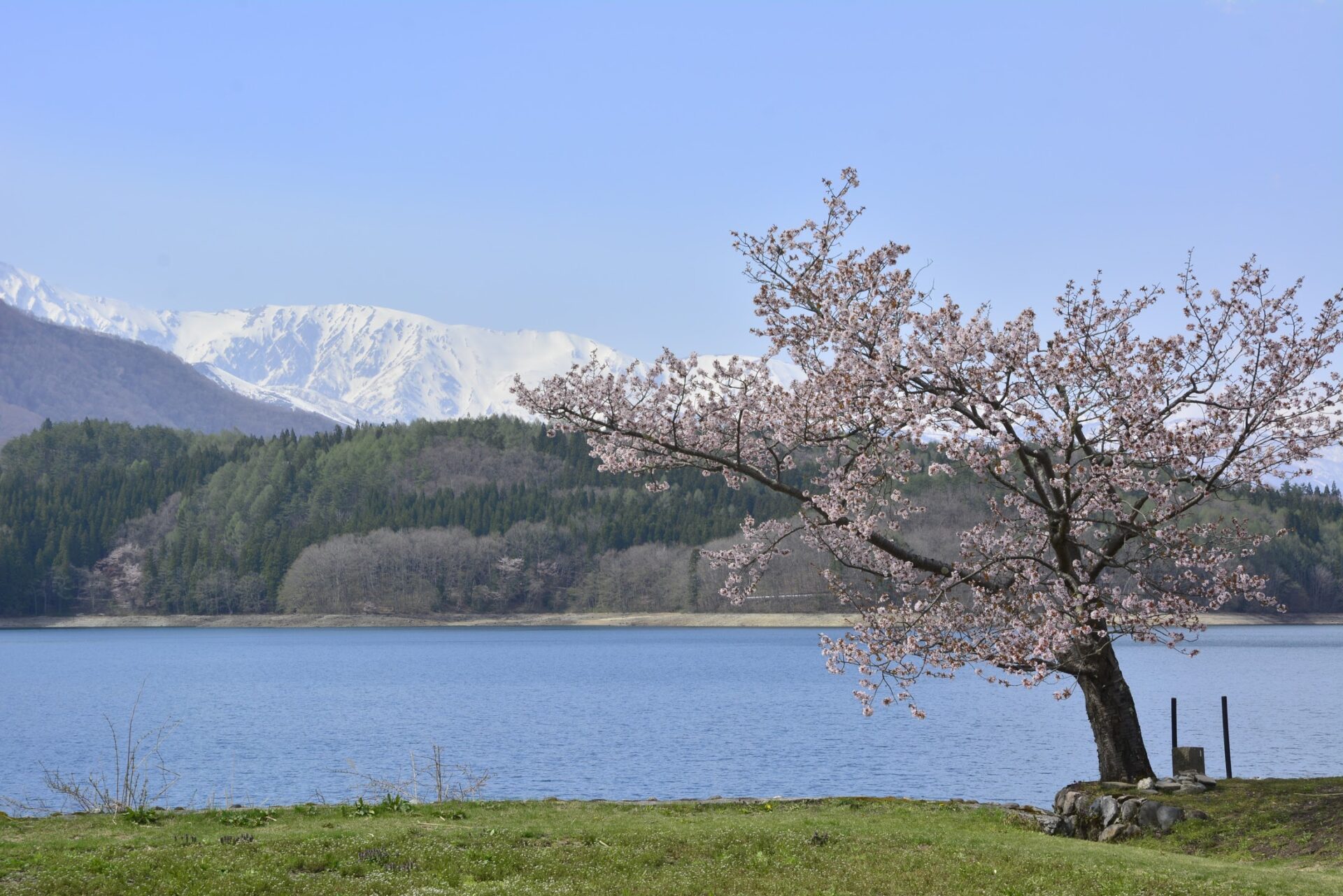 青木湖 | Hakuba Cycling - 白馬村サイクリング情報サイト