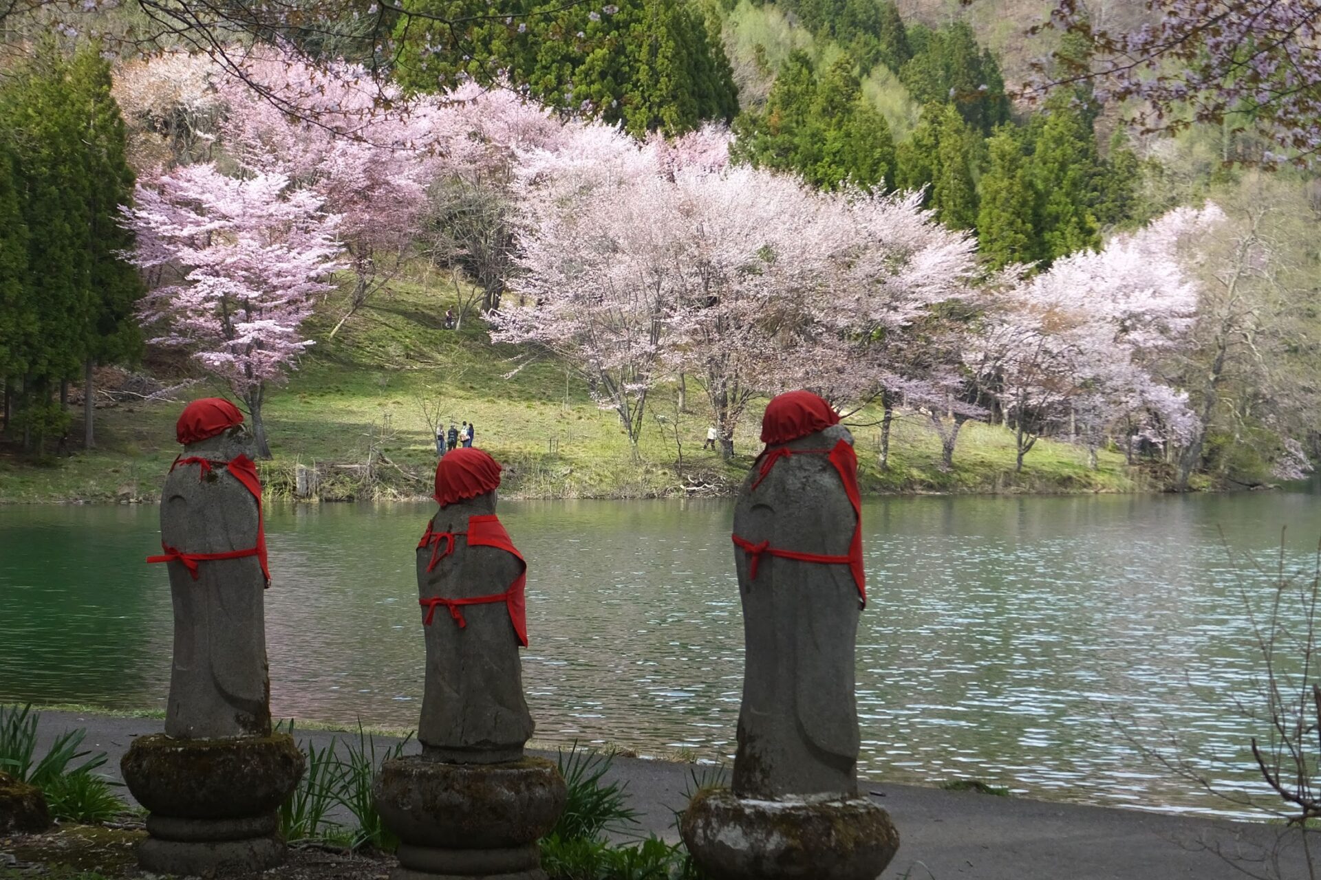 【中古】 白馬自然観察ガイド/山と渓谷社/中村至伸 白馬自然観察ガイド / 中村 至伸【著】 - 紀伊國屋書店ウェブ