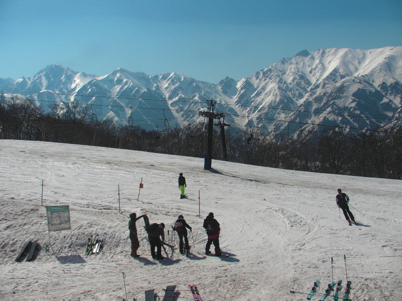 Goryu | Hakuba cams